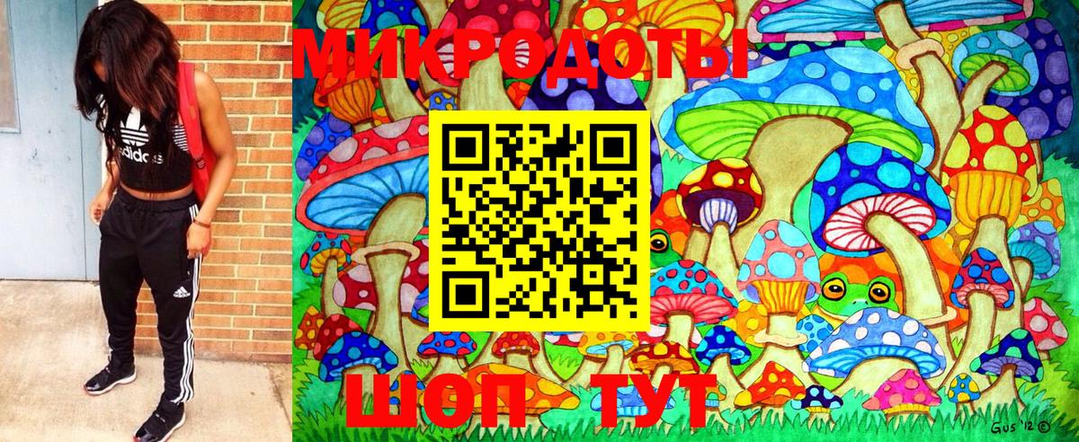 даркнет сайт  Псилоцибиновые грибы Psilocybe  Вход с VPN  Чистополь 