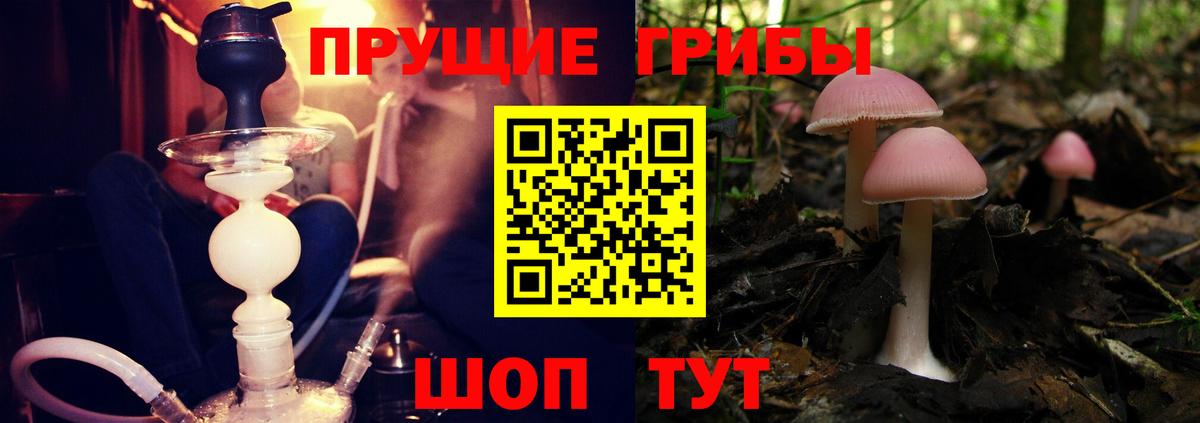 Галлюциногенные грибы MAGIC MUSHROOMS Чистополь